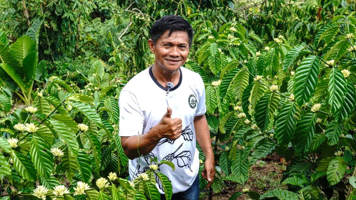 Community Champions reviving coffee farming in Basilan and Sulu