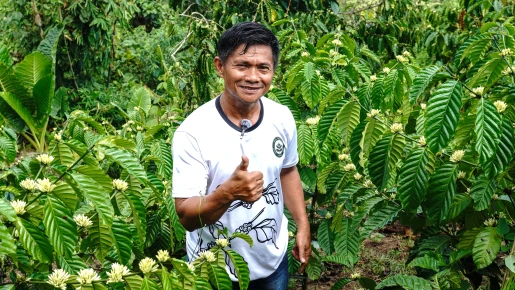 Community Champions reviving coffee farming in Basilan and Sulu