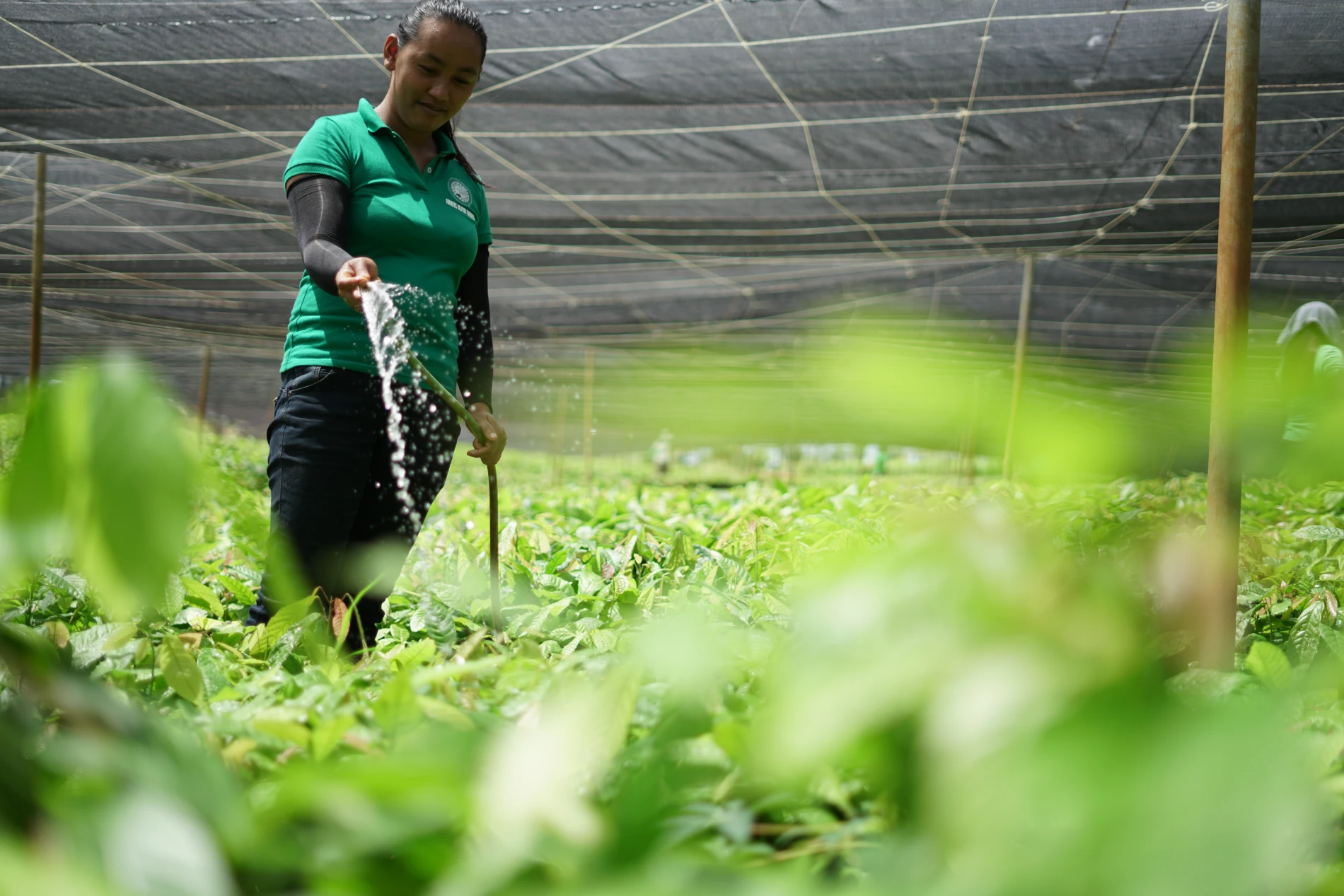 Climate Resilience