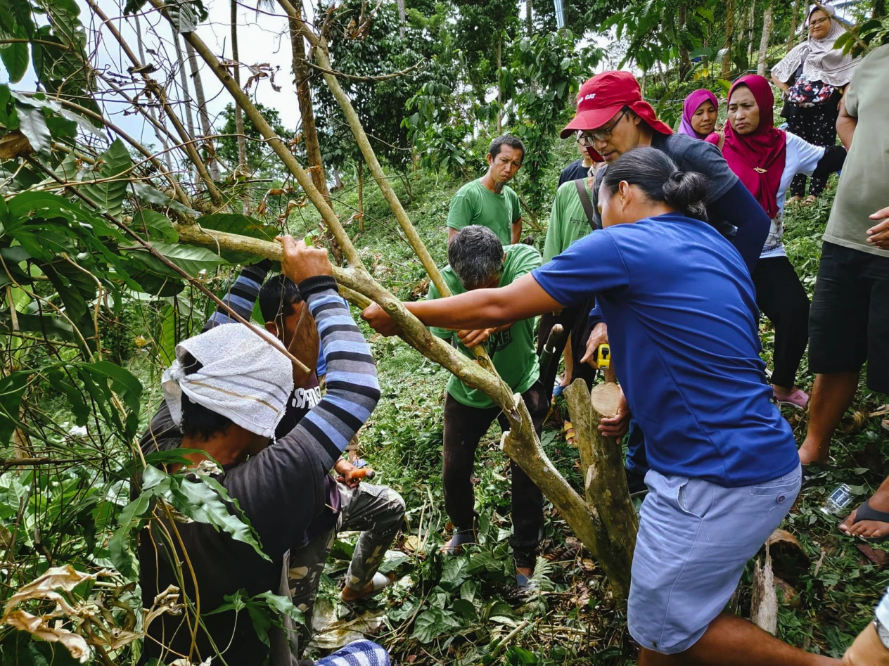 Sulu Coffee: Brewing Peace, Reviving Industry