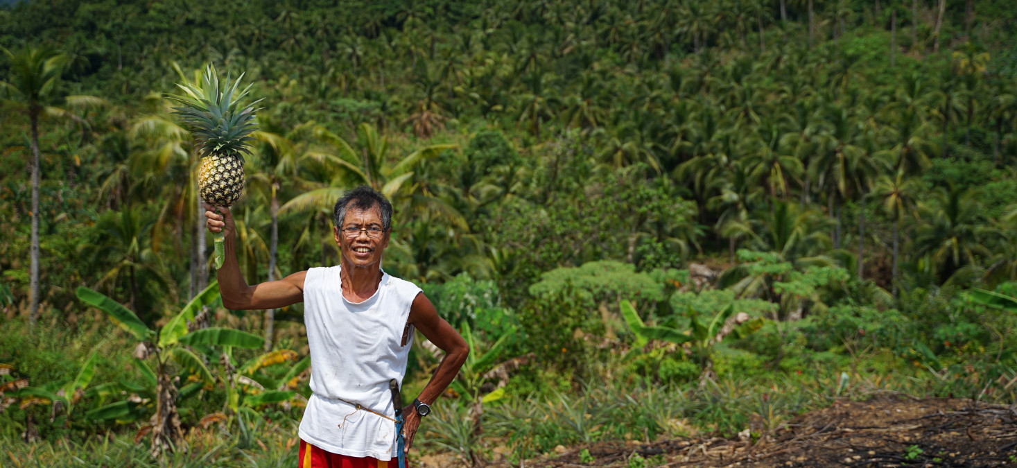 Exchange visit inspires, creates opportunities for disheartened pineapple farmer in the Philippines
